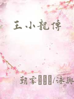 王小龙传