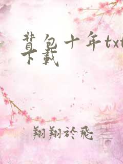 背包十年txt下载