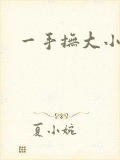 一手抚大小说