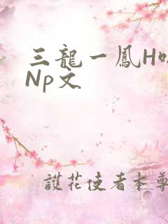 三龙一凤H啪肉Np文