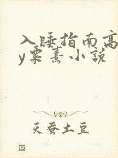 入睡指南高干by粟熹小说