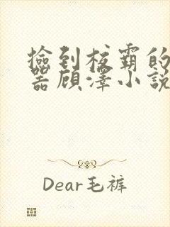 捡到校霸的遥控器顾泽小说免费阅读