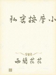 私密按摩小说