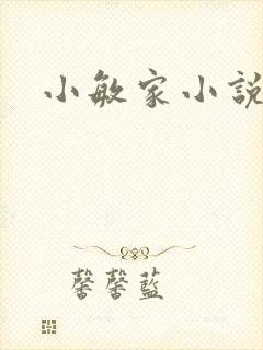 小敏家小说
