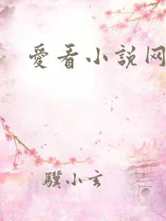 爱看小说网