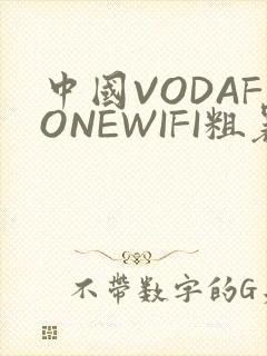 中国VODAFONEWIFI粗暴APP