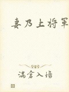 妻乃上将军下载