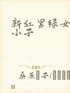 新红男绿女之坏小子