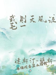 武则天风流艳情毛一