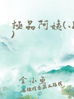 极品阿姨(小说)