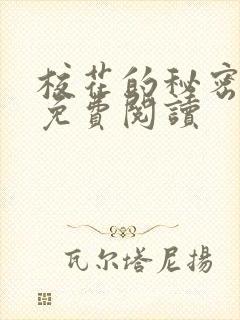 校花的秘密小说免费阅读