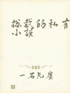 总裁的私有宝贝小说