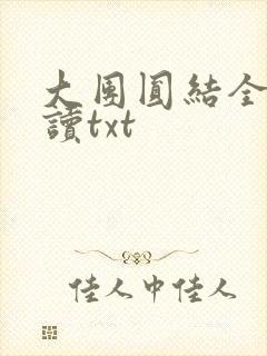 大团圆结全文阅读txt