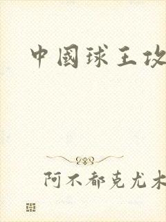 中国球王攻略