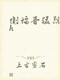 侧福晋猛烈顶弄h