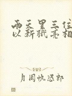 两天里三位将军以新职亮相