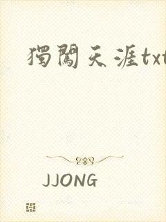独闯天涯txt