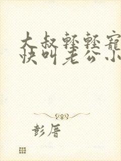 大叔轻轻宠宝贝快叫老公小说