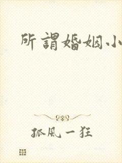 所谓婚姻小说