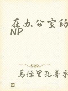 在办公室的椅子NP