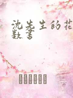 沈先生的花式调数书