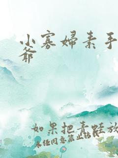 小寡妇素手擒四爷