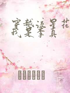 穿越流星花园之我是李真