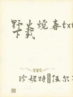野火烧春txt下载