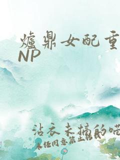 炉鼎女配重生之NP