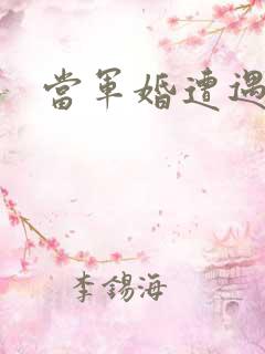 当军婚遭遇爱情