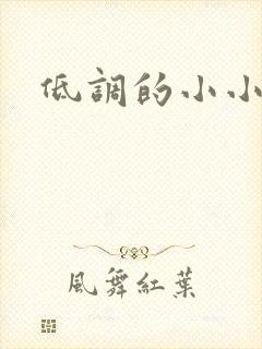 低调的小小宫女