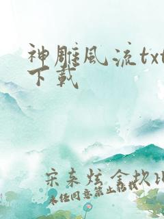 神雕风流txt下载