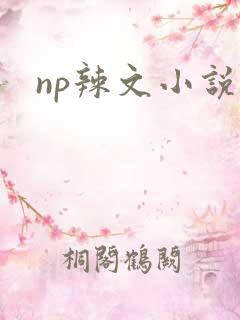 np辣文小说