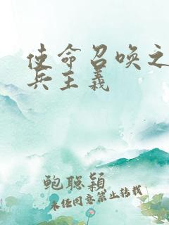 使命召唤之大炮兵主义