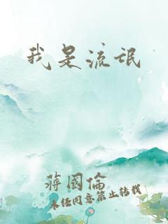 我是流氓