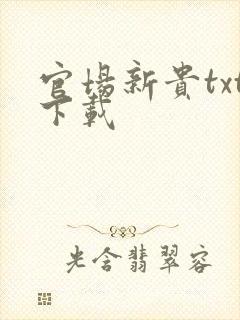 官场新贵txt下载