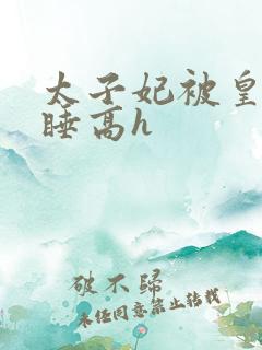 太子妃被皇上强睡高h