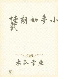 佳期如梦小说下载