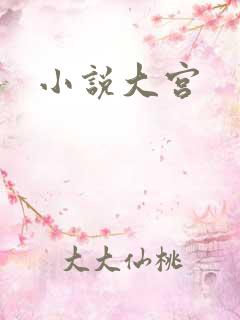小说大宫