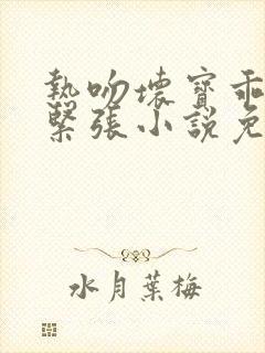 热吻坏宝乖乖别紧张小说免费阅读