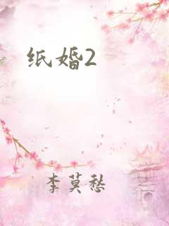 纸婚2