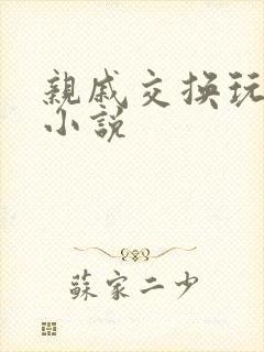 亲戚交换玩美妇小说