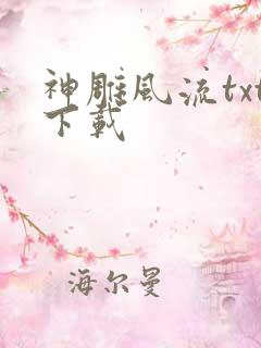 神雕风流txt下载
