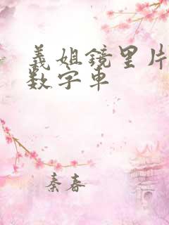 义姐镜里片微博数字车