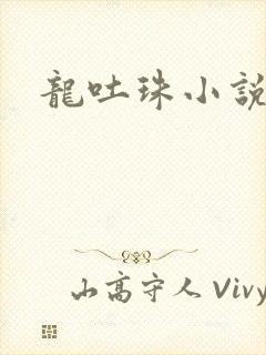 龙吐珠小说