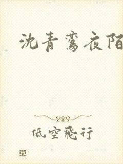 沈青鸾夜陌凌
