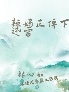 辣妈正传下载 迅雷