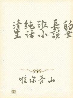 清纯班长的日常生活小说笔趣阁免费阅读