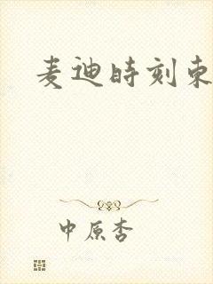 麦迪时刻东北版