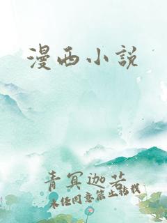 漫西小说